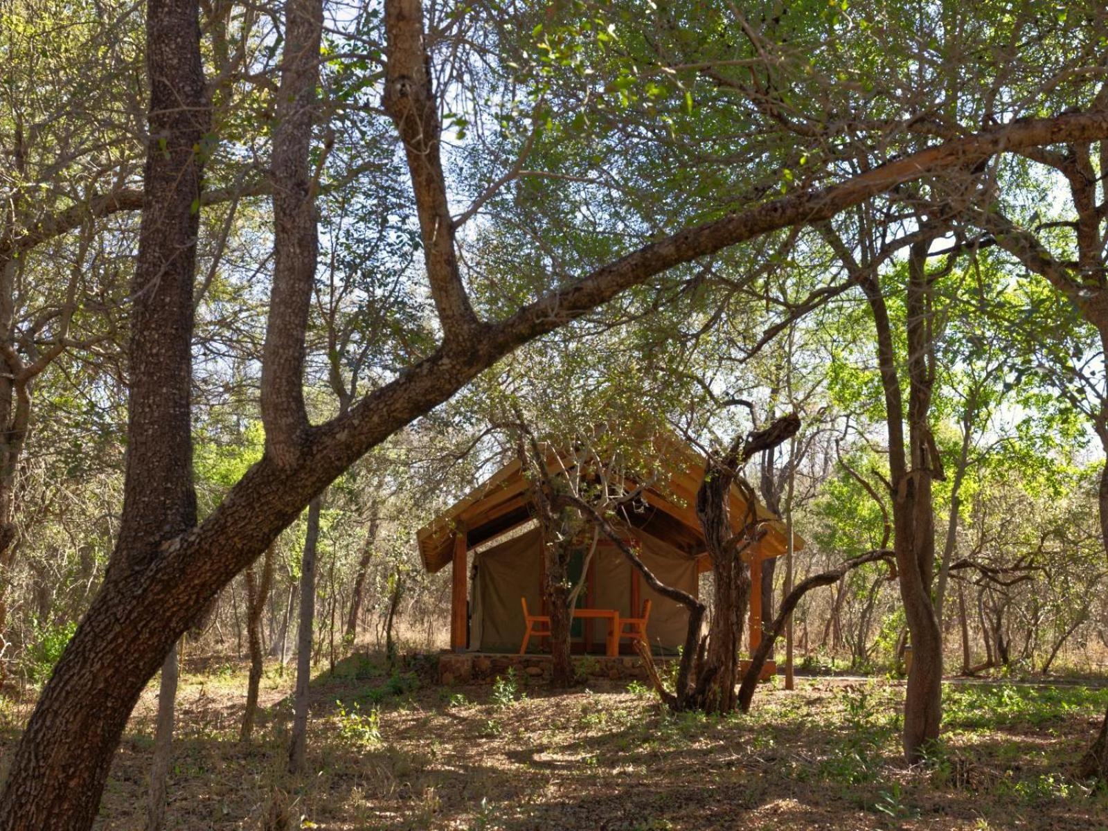 Mbuluzi Game Reserve Simunye Room photo